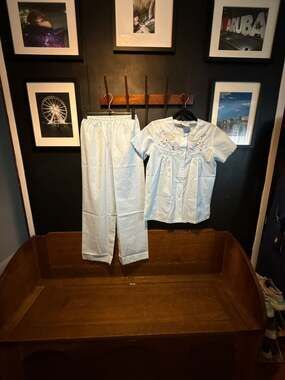 Plum Blossoms Vintage Baby Blue Embroidered Two-Piece Pajama Set